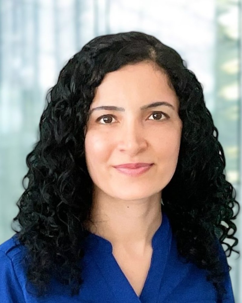 Parisa Yousefpour
